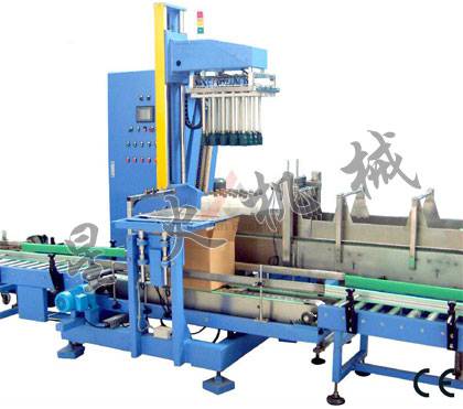 全自動(dòng)裝箱機(jī)